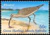 Colnect-3092-399-Whimbrel-Numenius-phaeopus-.jpg