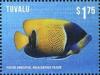 Colnect-3146-428-Passer-Angelfish-Holacanthus-passer.jpg