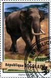 Colnect-4459-005-Elephas-maximus.jpg