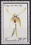 Colnect-1230-383-Coelogyne-lamellata.jpg