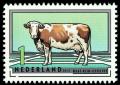 Colnect-1529-707-Meuse-Rhine-Ijssel-Cattle-Bos-primigenius-taurus.jpg