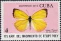 Colnect-2307-540-Dina-Yellow-Eurema-dina-dina.jpg