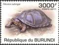 Colnect-4000-140-Pelusios-Subniger.jpg