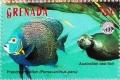 Colnect-4581-512-French-angelfish-Australian-sea-lion.jpg