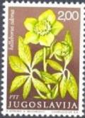 Colnect-700-464-Helleborus-odorus.jpg