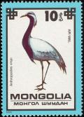 Colnect-859-476-Demoiselle-Crane-Grus-virgo.jpg