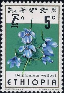 Colnect-4924-763-Delphinium-wellbyi.jpg