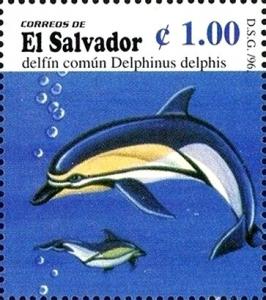 Colnect-5563-928-Delphinus-delphis.jpg