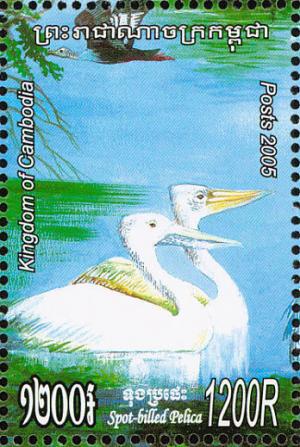 Colnect-1527-047-Spot-billed-Pelican-Pelecanus-philippensis.jpg