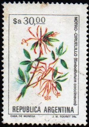 Colnect-1745-071-Notro---Ciruelillo-Embothrium-coccineum.jpg