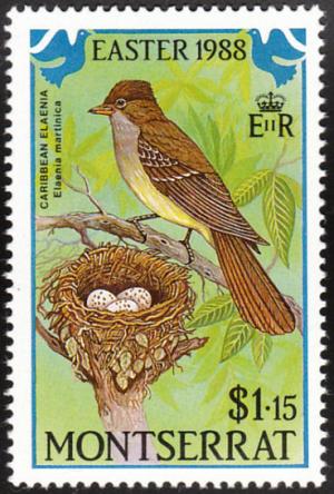 Colnect-1785-034-Caribbean-Elaenia-Elaenia-martinica.jpg