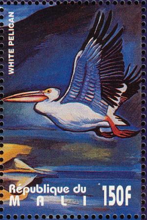 Colnect-2376-026-American-White-Pelican-Pelecanus-erythrorhynchos.jpg