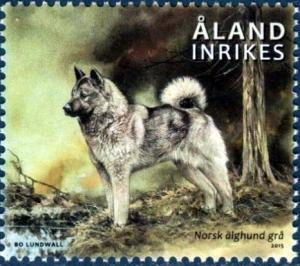 Colnect-3014-773-Gray-Norwegian-Elkhound-Canis-lupus-familiaris.jpg