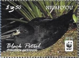 Colnect-3197-937-Black-Petrel-Procellaria-parkinsoni.jpg