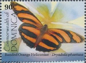 Colnect-3281-667-Banded-Orange-Heliconian-Dryadula-phaetusa---.jpg