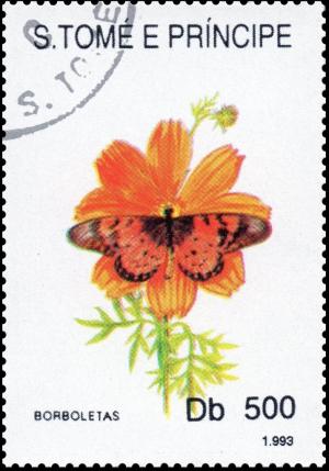 Colnect-3571-469-Tortoiseshell-Butterfly-Nymphalis-sp.jpg