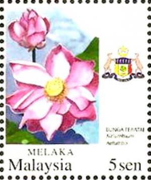 Colnect-4180-741-Nelumbium-nelumbo.jpg