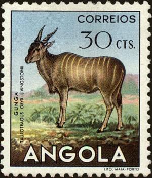 Colnect-4223-085-Common-Eland-Taurotragus-oryx.jpg