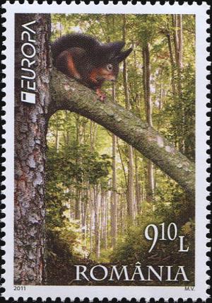 Colnect-4286-690-Red-Squirrel-Sciurus-vulgaris-Forest.jpg