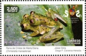 Colnect-5558-245-Crystal-of-Maria-Elena-Frog-Chimerella-mariaelenae.jpg