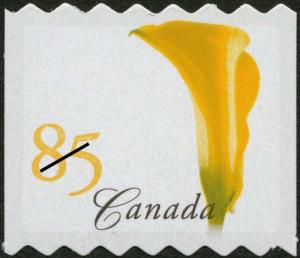 Colnect-576-958-Yellow-Calla-Lily.jpg