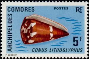 Colnect-787-756-Cone-Shell-Conus-lithoglyphus.jpg