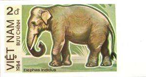 Colnect-813-267-Asian-Elephant-Elephas-maximus---Imperforate.jpg