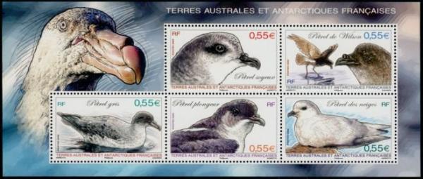 Colnect-889-563-Petrels-and-Shearwaters.jpg