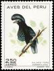 Colnect-1617-388-Amazonian-Umbrellabird-Cephalopterus-ornatus.jpg