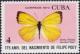 Colnect-2307-540-Dina-Yellow-Eurema-dina-dina.jpg