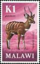 Colnect-6028-484-Bushbuck-Tragelaphus-scriptus-ssp-ornatus.jpg