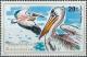 Colnect-869-432-Great-White-Pelican-Pelecanus-onocrotalus.jpg