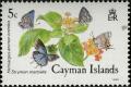 Colnect-5671-249-Cayman-Lucas-s-Blue-Hemiargus-ammon-erembis-Martial-Scrub.jpg