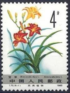 Colnect-3928-177-Hemerocallis-flava.jpg