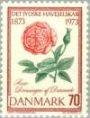 Colnect-156-559--Queen-of-Denmark--Rose.jpg