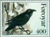 Colnect-157-918-Pied-Raven-Corvus-corax-varius-.jpg