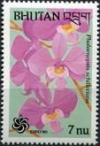 Colnect-1811-446-Phalaenopsis-schilleriana.jpg