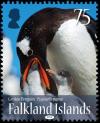 Colnect-2953-562-Gentoo-Penguin-Pygoscelis-papua.jpg