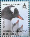 Colnect-4568-930-Gentoo-Penguin-Pygoscelis-papua.jpg