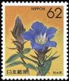 Colnect-519-706-Gentian-Kumamoto.jpg