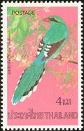 Colnect-2022-357-Common-Green-Magpie-Cissa-chinensis.jpg