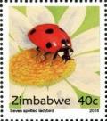 Colnect-5434-161-Seven-Spotted-Ladybird.jpg