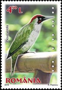 Colnect-3453-866-European-green-woodpecker-Picus-viridis.jpg