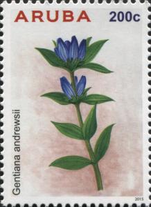 Colnect-6277-641-Gentiana-andrewsii.jpg