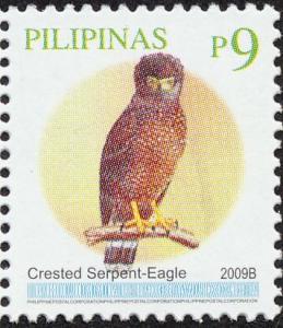 Colnect-2875-326-Phillipine-Serpent-eagle-Spilornis-holospilus.jpg