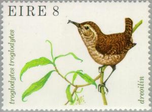 Colnect-128-571-Eurasian-Wren-Troglodytes-troglodytes.jpg