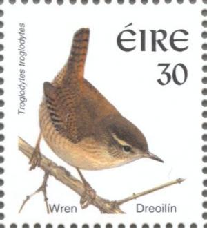 Colnect-129-573-Eurasian-Wren-Troglodytes-troglodytes.jpg