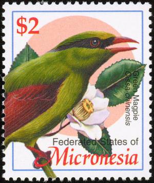 Colnect-1620-593-Common-Green-Magpie-Cissa-chinensis.jpg