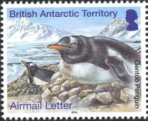 Colnect-2935-389-Gentoo-Penguin-Pygoscelis-papua.jpg