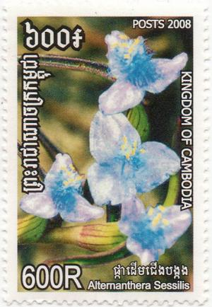 Colnect-3036-207-Seated-Papageienblatt-Alternanthera-sessilis.jpg